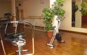 palestra